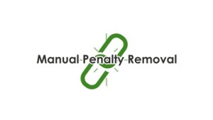 Google Penalty Removal